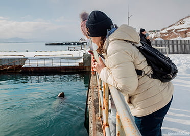 наблюдение за сивучами