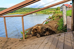 отдых после обеда