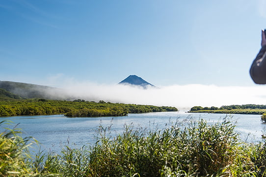 утренняя дымка