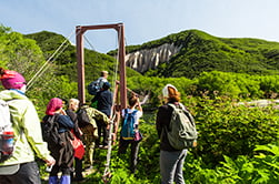 подвесной мост