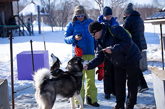 питомник собак